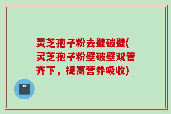 灵芝孢子粉去壁破壁(灵芝孢子粉壁破壁双管齐下，提高营养吸收)