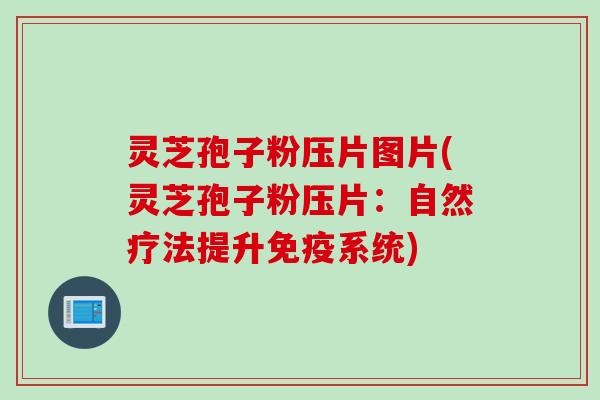 灵芝孢子粉压片图片(灵芝孢子粉压片：自然疗法提升免疫系统)