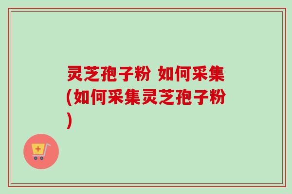 灵芝孢子粉 如何采集(如何采集灵芝孢子粉)