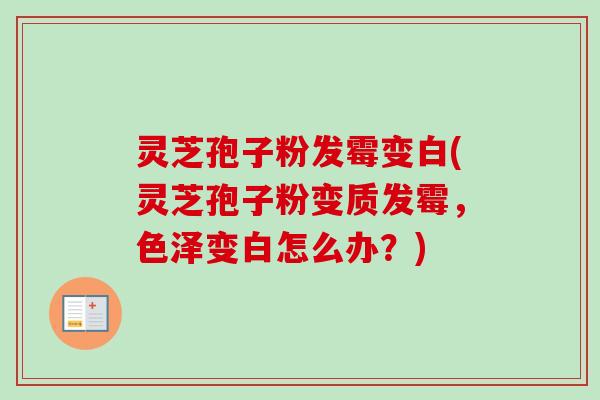 灵芝孢子粉发霉变白(灵芝孢子粉变质发霉,色泽变白怎么办?) 灵芝孢子粉发霉变白(灵芝孢子粉变质发霉,色泽变白怎么办?)