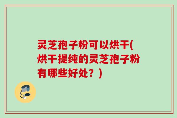 灵芝孢子粉可以烘干(烘干提纯的灵芝孢子粉有哪些好处？)