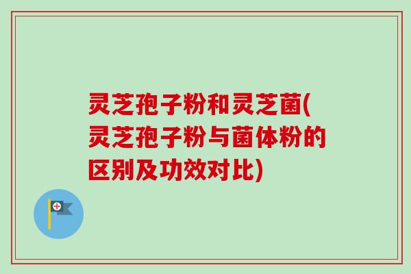 灵芝孢子粉和灵芝菌(灵芝孢子粉与菌体粉的区别及功效对比)