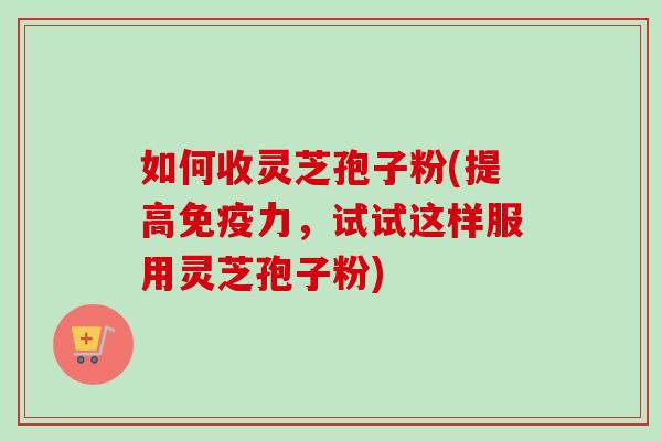 如何收灵芝孢子粉(提高免疫力，试试这样服用灵芝孢子粉)
