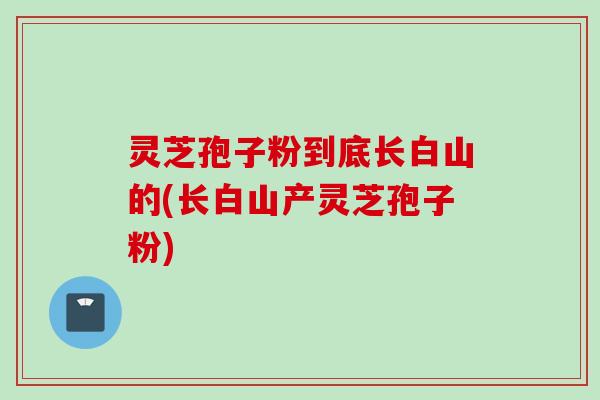 灵芝孢子粉到底长白山的(长白山产灵芝孢子粉)