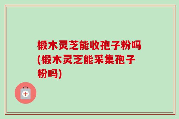 椴木灵芝能收孢子粉吗(椴木灵芝能采集孢子粉吗)