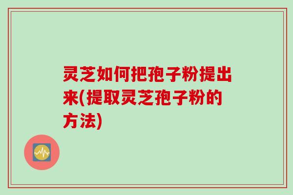 灵芝如何把孢子粉提出来(提取灵芝孢子粉的方法)