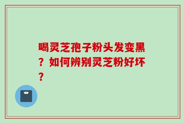 喝灵芝孢子粉头发变黑？如何辨别灵芝粉好坏？