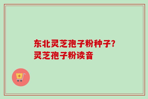 东北灵芝孢子粉种子？灵芝孢子粉读音