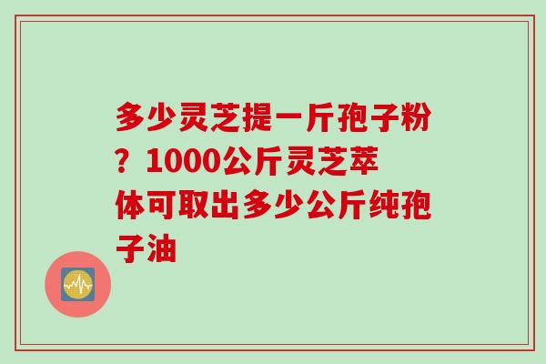 多少灵芝提一斤孢子粉？1000公斤灵芝萃体可取出多少公斤纯孢子油