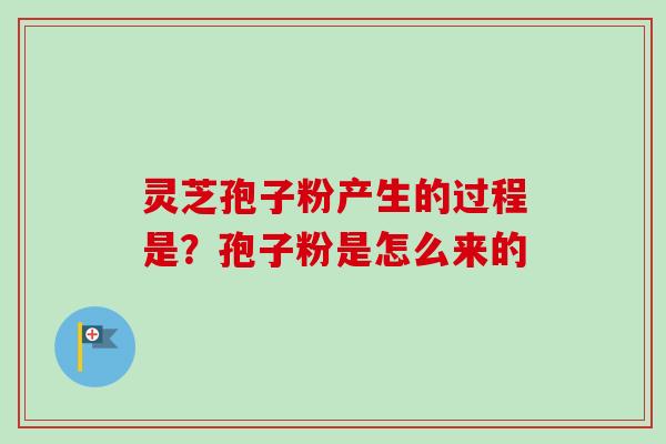 灵芝孢子粉产生的过程是？孢子粉是怎么来的
