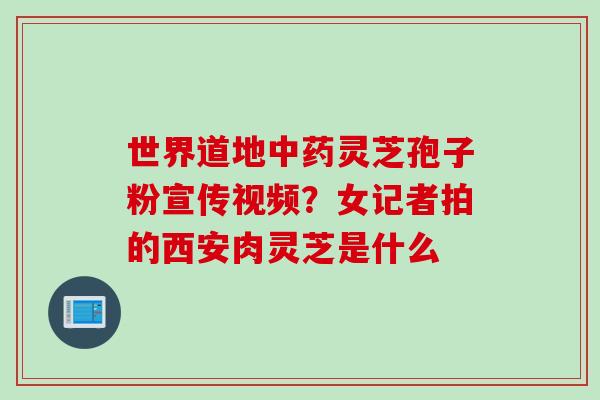 世界道地中药灵芝孢子粉宣传视频？女记者拍的西安肉灵芝是什么