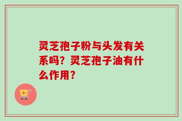 灵芝孢子粉与头发有关系吗？灵芝孢子油有什么作用？