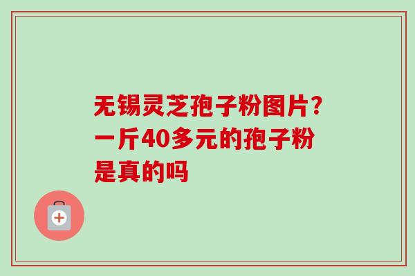 无锡灵芝孢子粉图片？一斤40多元的孢子粉是真的吗