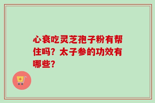 心衰吃灵芝孢子粉有帮住吗？太子参的功效有哪些？