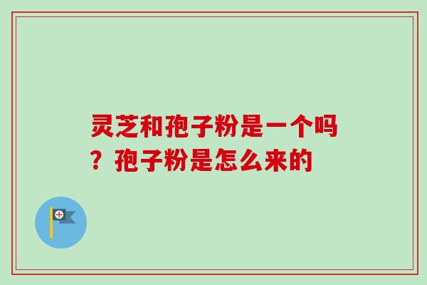 灵芝和孢子粉是一个吗？孢子粉是怎么来的