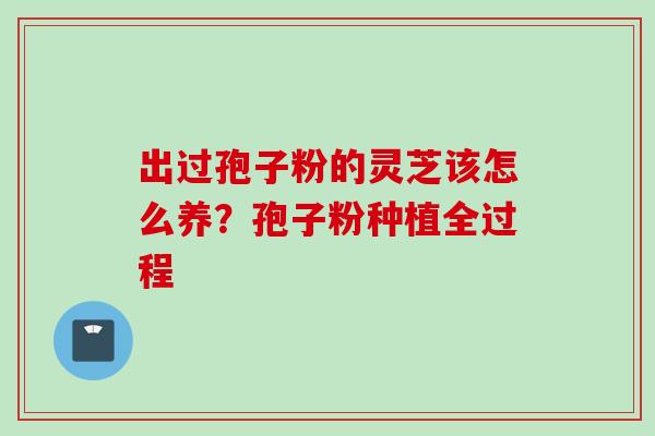 出过孢子粉的灵芝该怎么养？孢子粉种植全过程