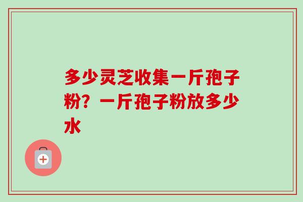 多少灵芝收集一斤孢子粉？一斤孢子粉放多少水