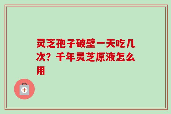 灵芝孢子破壁一天吃几次？千年灵芝原液怎么用