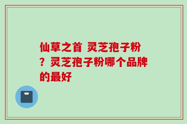仙草之首 灵芝孢子粉？灵芝孢子粉哪个品牌的最好