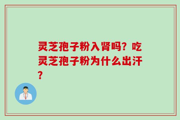 灵芝孢子粉入肾吗？吃灵芝孢子粉为什么出汗？