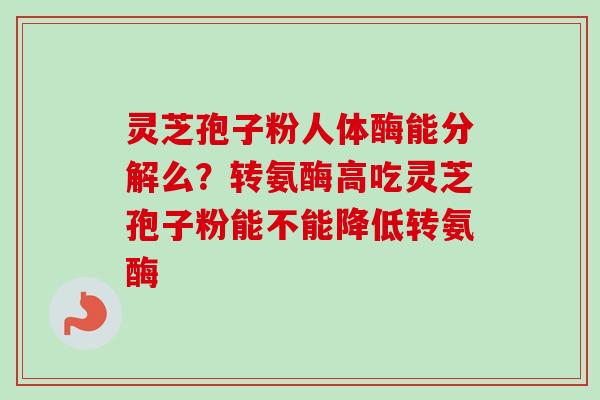 灵芝孢子粉人体酶能分解么？转氨酶高吃灵芝孢子粉能不能降低转氨酶