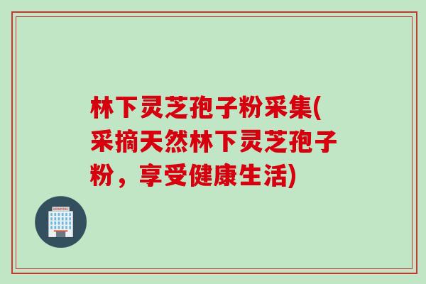 林下灵芝孢子粉采集(采摘天然林下灵芝孢子粉，享受健康生活)