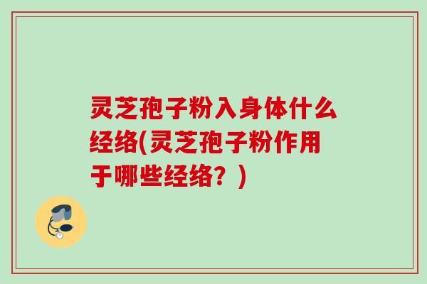 灵芝孢子粉入身体什么经络(灵芝孢子粉作用于哪些经络？)