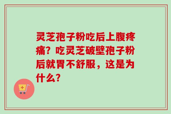 灵芝孢子粉吃后上腹疼痛？吃灵芝破壁孢子粉后就胃不舒服，这是为什么？