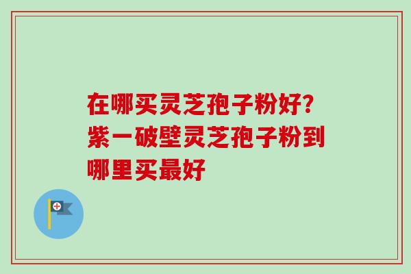 在哪买灵芝孢子粉好？紫一破壁灵芝孢子粉到哪里买最好
