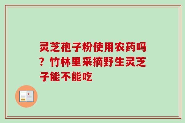 灵芝孢子粉使用农药吗？竹林里采摘野生灵芝子能不能吃