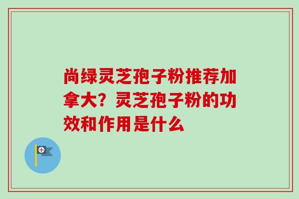 尚绿灵芝孢子粉推荐加拿大？灵芝孢子粉的功效和作用是什么