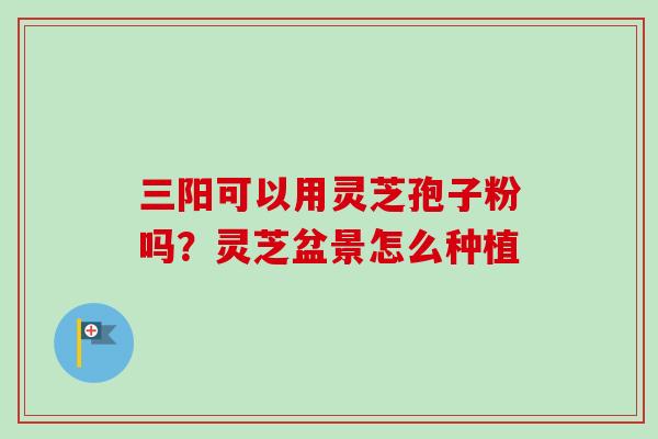 三阳可以用灵芝孢子粉吗？灵芝盆景怎么种植