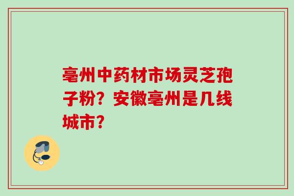 亳州中药材市场灵芝孢子粉？安徽亳州是几线城市？