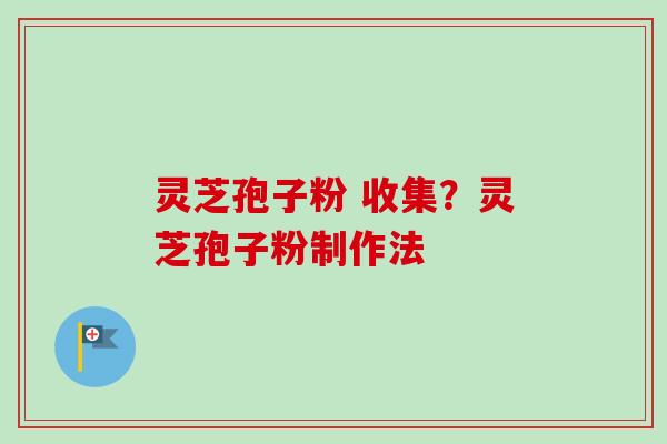 灵芝孢子粉 收集？灵芝孢子粉制作法