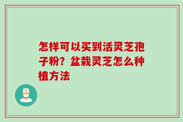 怎样可以买到活灵芝孢子粉？盆栽灵芝怎么种植方法
