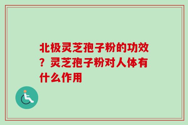 北极灵芝孢子粉的功效？灵芝孢子粉对人体有什么作用