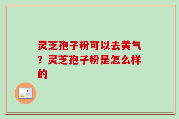 灵芝孢子粉可以去黄气？灵芝孢子粉是怎么样的