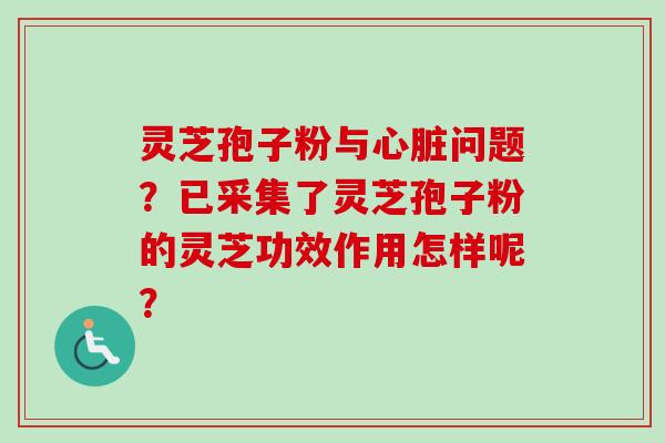 灵芝孢子粉与心脏问题？已采集了灵芝孢子粉的灵芝功效作用怎样呢？
