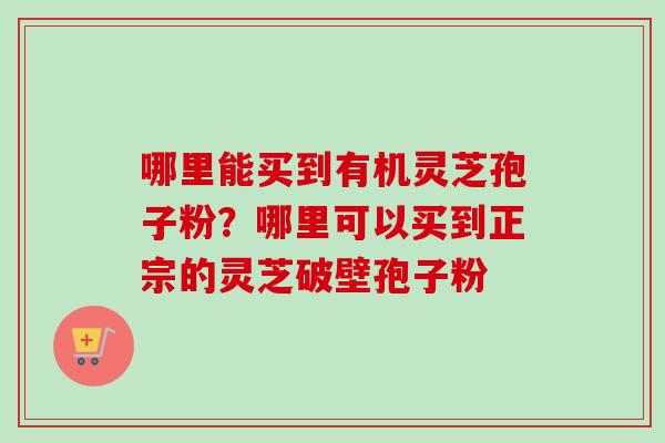 哪里能买到有机灵芝孢子粉？哪里可以买到正宗的灵芝破壁孢子粉