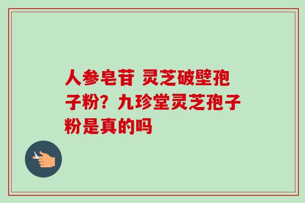 人参皂苷 灵芝破壁孢子粉？九珍堂灵芝孢子粉是真的吗