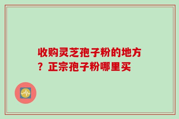 收购灵芝孢子粉的地方？正宗孢子粉哪里买