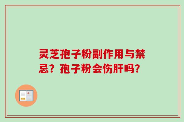 灵芝孢子粉副作用与禁忌？孢子粉会伤肝吗？