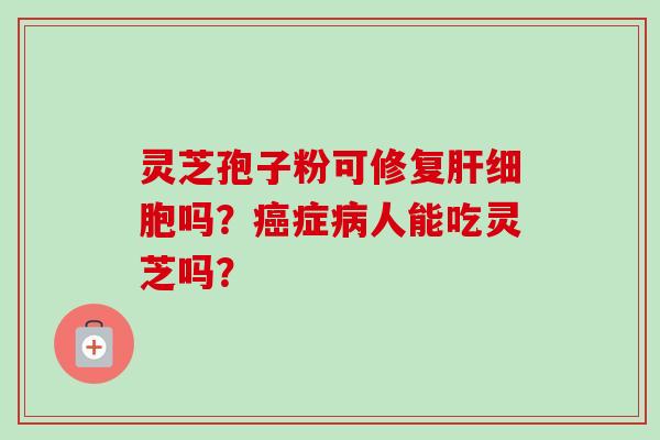 灵芝孢子粉可修复肝细胞吗？癌症病人能吃灵芝吗？