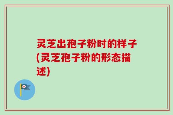 灵芝出孢子粉时的样子(灵芝孢子粉的形态描述)