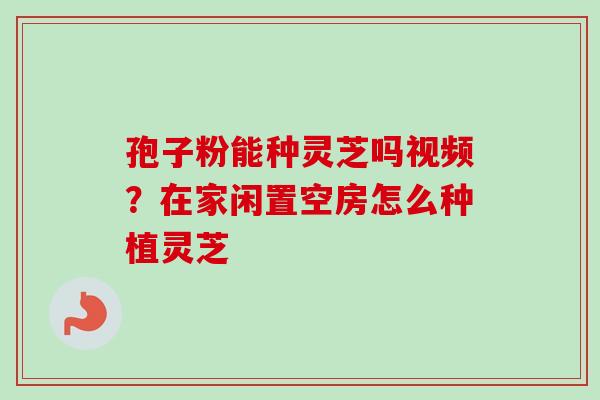 孢子粉能种灵芝吗视频?在家闲置空房怎么种植灵芝