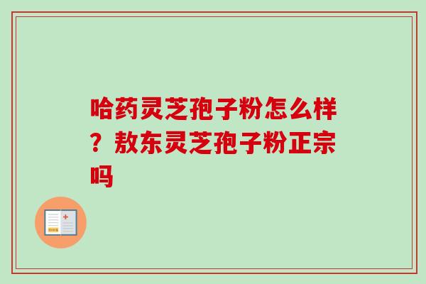 哈药灵芝孢子粉怎么样？敖东灵芝孢子粉正宗吗