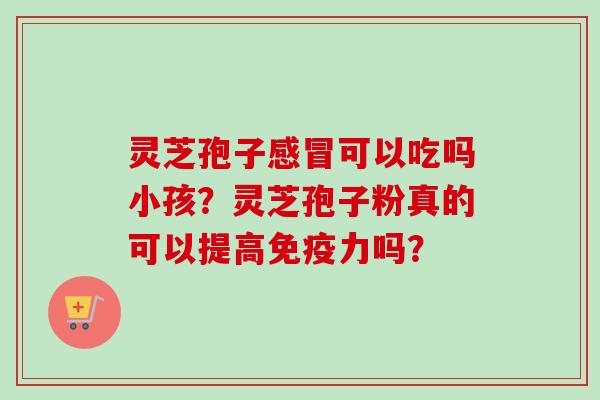 灵芝孢子感冒可以吃吗小孩？灵芝孢子粉真的可以提高免疫力吗？