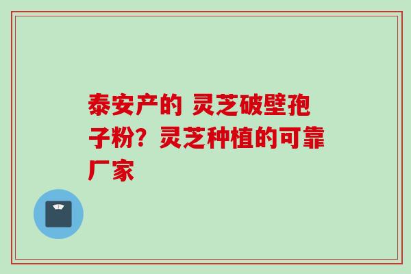 泰安产的 灵芝破壁孢子粉?灵芝种植的可靠厂家