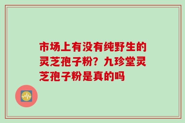 市场上有没有纯野生的灵芝孢子粉？九珍堂灵芝孢子粉是真的吗