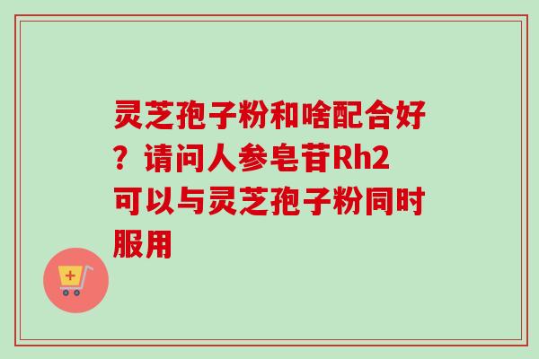 灵芝孢子粉和啥配合好?请问人参皂苷Rh2可以与灵芝孢子粉同时服用